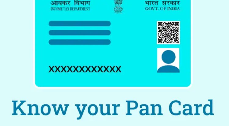 How To Check Pan Card Details From Pan Number Pan Card Online India