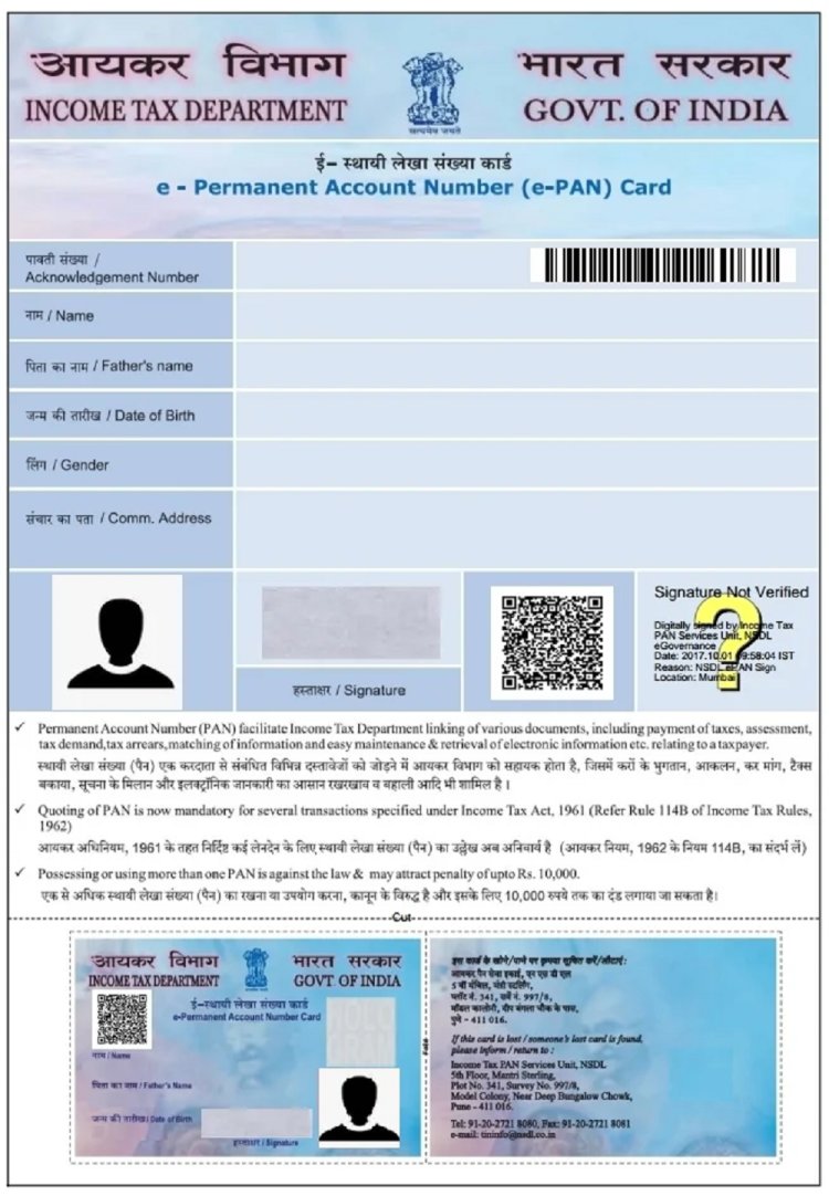 How to Check PAN Card Details Using Your PAN Number: A Step-by-Step Guide